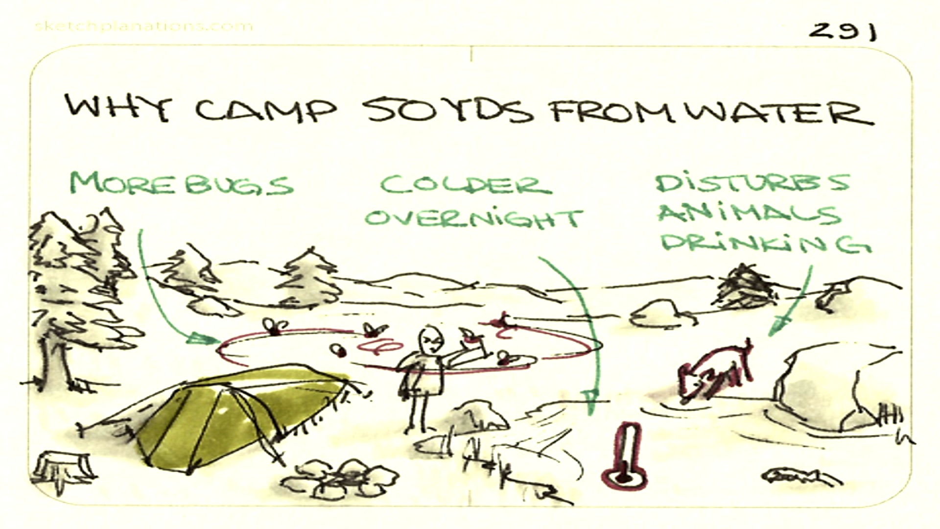 Must-Know Safety Tips for Every Camper