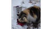 Deluxe Cat Bug Out Emergency Kit