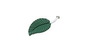 Multifunction Stainless Steel Leaf Shape Folding Pocket Knife Fruit Camping