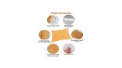 Outdoor Patio Garden Backyard Shade Canopy UV Shelter Canopy