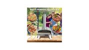 Portable Stainless Steel Outdoor Pizza Oven with 12 Inch Pizza Stone