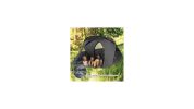 2-Person Outdoor Camping Tent with External Cover-Gray-Color Gray