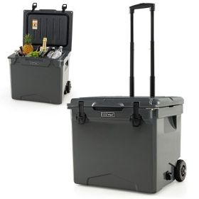 Hard Cooler with Wheels and Handle - 42 Quart Capacity