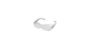 Radians Sheath OTG Anti-Fog Safety Glasses Fits Over Glasses Clear Lens Silver