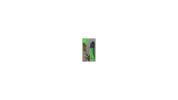 Realtree EZ Folding Saw