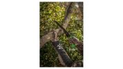 Realtree EZ Folding Saw