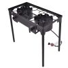 Double Burner Outdoor Stove BBQ Grill with 150000 BTU Capacity