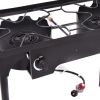 Double Burner Outdoor Stove BBQ Grill with 150000 BTU Capacity
