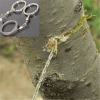 1pc Emergency Survival Gear Steel Wire Saw Camping Hiking Climbing Gear