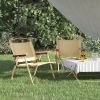 vidaXL Camping Chairs 2 pcs Oxford Fabric