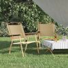 vidaXL Camping Chairs 2 pcs Oxford Fabric