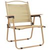 vidaXL Camping Chairs 2 pcs Oxford Fabric