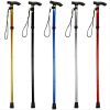 Foldable Lightweight Walking Stick Trekking Pole With Rubber Tip Adjustable