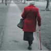 AntiSlip Adjustable Folding Travel Hiking Walking Stick